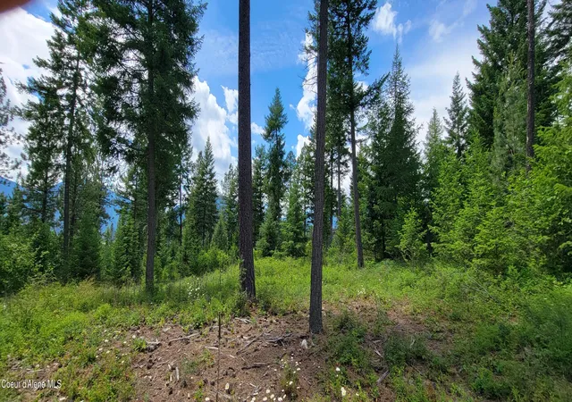 Homes for sale in Bonners Ferry, ID | Bootlegger Lane- Parcel 1, Bonners Ferry, ID 83805 | MLS# 26-3047