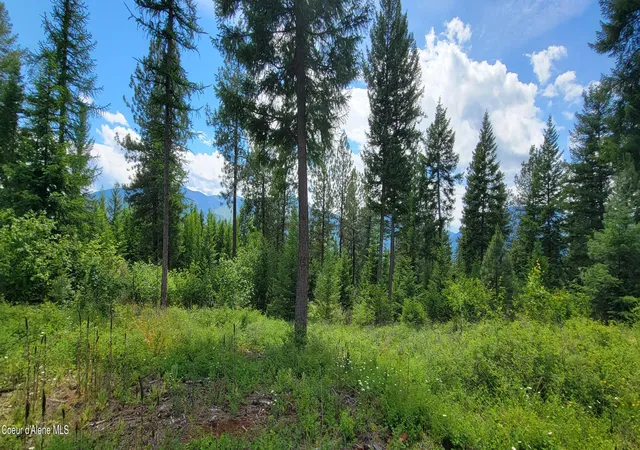 Homes for sale in Bonners Ferry, ID | Bootlegger Lane- Parcel 1, Bonners Ferry, ID 83805 | MLS# 26-3047