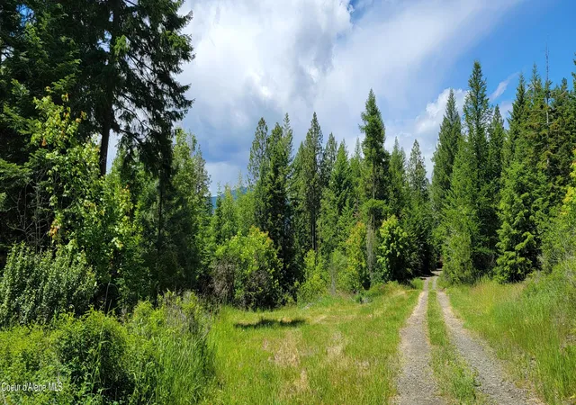 Homes for sale in Bonners Ferry, ID | Nna Continental Lane-Parcel 3, Bonners Ferry, ID 83805 | MLS# 26-3136