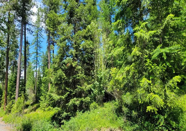 Homes for sale in Bonners Ferry, ID | Nna Continental Lane-Parcel 3, Bonners Ferry, ID 83805 | MLS# 26-3136
