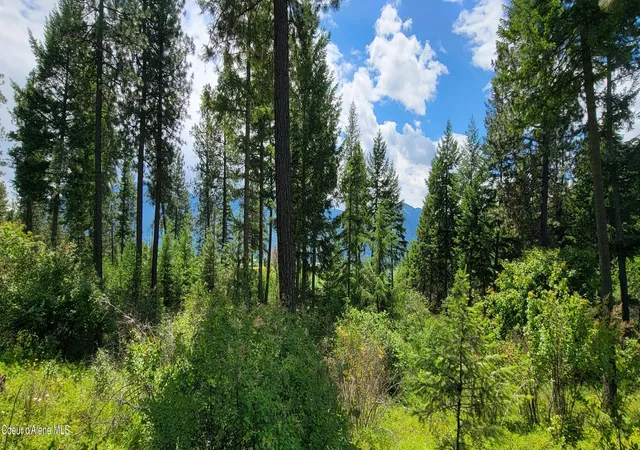 Homes for sale in Bonners Ferry, ID | Nna Continental Lane-Parcel 3, Bonners Ferry, ID 83805 | MLS# 26-3136