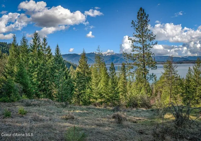 2nd image of Nna Big Pine Dr, Sagle, ID 83860 | MLS# 26-3134