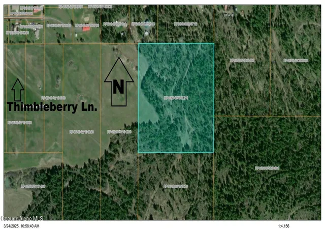 Homes for sale in Plummer, ID | Tract 5 Thimbleberry Ln, Plummer, ID 83851 | MLS# 26-3148