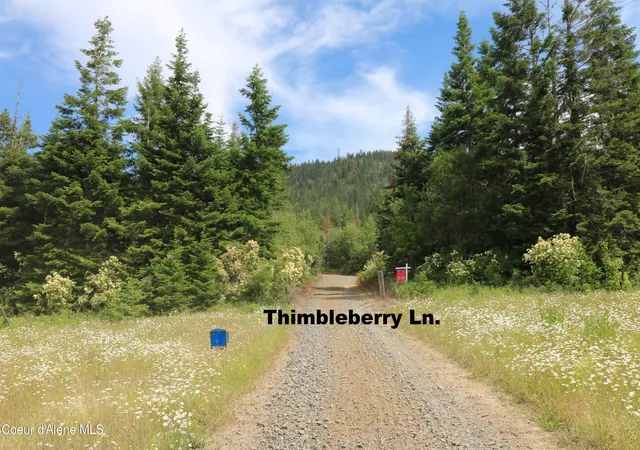 Homes for sale in Plummer, ID | Tract 5 Thimbleberry Ln, Plummer, ID 83851 | MLS# 26-3148