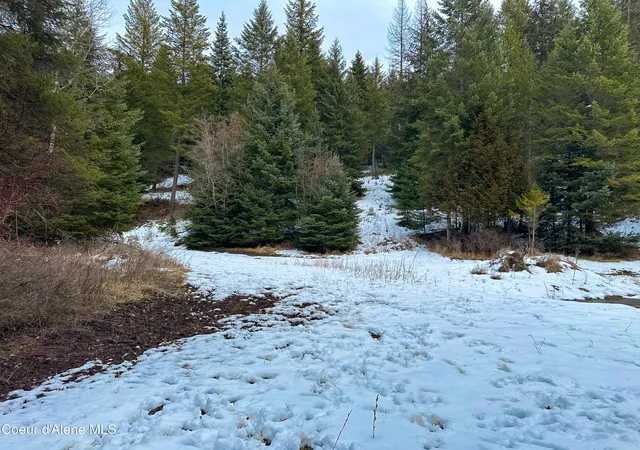 Photo 4 of Land for sale at Nna Holmes Rd, Bonners Ferry, ID 83805 | MLS# 26-3162 | Listing updated on 2026-05-08