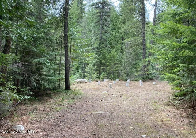 Homes for sale in Sandpoint, ID | 97 Mineral Ln, Sandpoint, ID 83864 | MLS# 26-3789