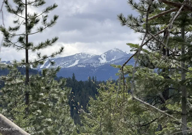 Homes for sale in Kingston, ID | Nna Cda River Drive/mcphee Gulch, Kingston, ID 83839 | MLS# 26-3179