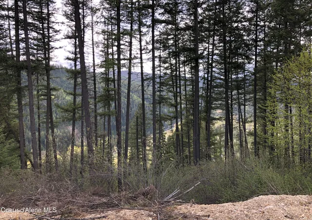 5th image of Nna Cda River Drive/Mcphee Gulch, Kingston, ID 83839 | MLS# 26-3179
