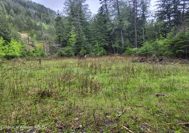 Homes for sale in Bayview, ID | Nna Silver Ave, Bayview, ID 83803 | MLS# 26-3211