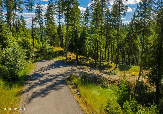 Homes for sale in Sandpoint, ID | Wildflower Wy, Sandpoint, ID 83864 | MLS# 26-3336
