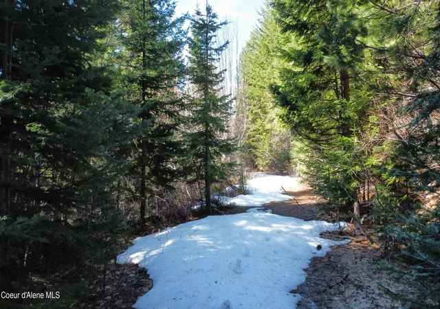 3rd image of 0 Adams Creek Rd, Fernwood, ID 83830 | MLS# 26-3493