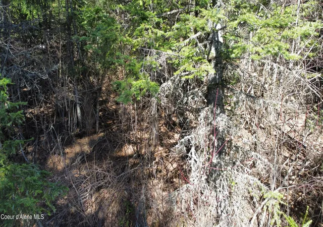 4th image of 0 Adams Creek Rd, Fernwood, ID 83830 | MLS# 26-3493