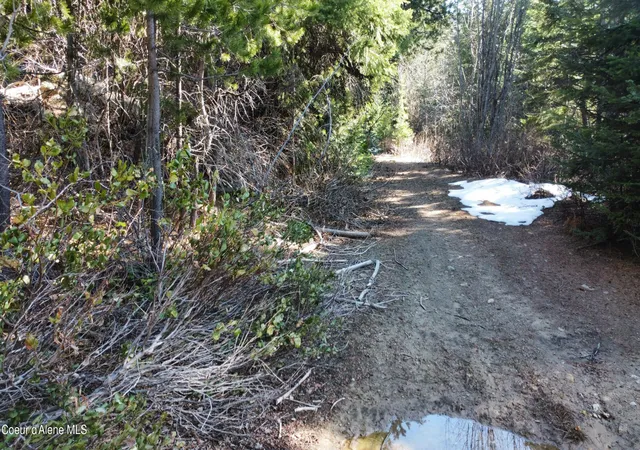 5th image of 0 Adams Creek Rd, Fernwood, ID 83830 | MLS# 26-3493