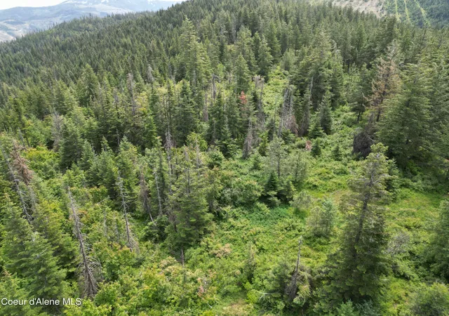 3rd image of Nka Initial Peak Rd, Cataldo, ID 83810 | MLS# 26-3356