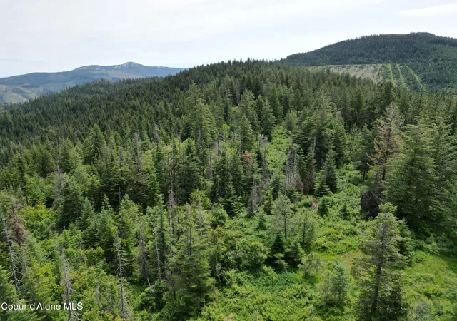 4th image of Nka Initial Peak Rd, Cataldo, ID 83810 | MLS# 26-3356