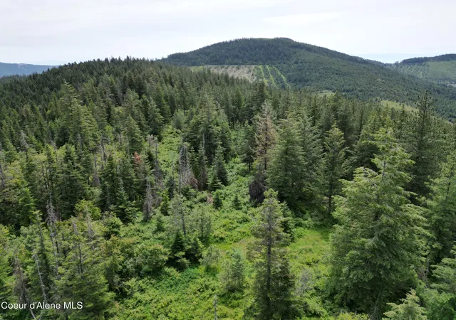 5th image of Nka Initial Peak Rd, Cataldo, ID 83810 | MLS# 26-3356