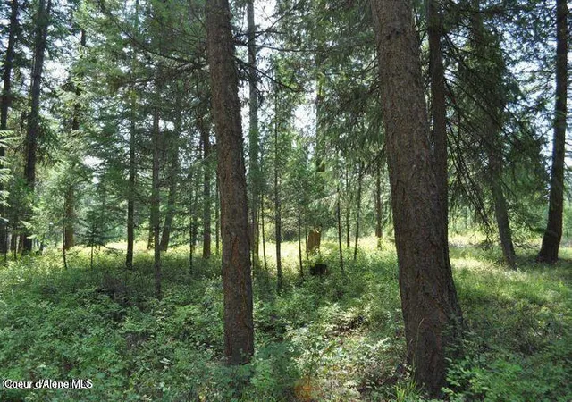 1st image of 39 Forest Ridge Rd, Blanchard, ID 83804 | MLS# 26-3308