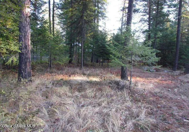 2nd image of 39 Forest Ridge Rd, Blanchard, ID 83804 | MLS# 26-3308