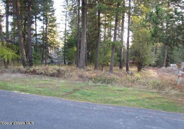 Photo 3 of Land for sale at 39 Forest Ridge Rd, Blanchard, ID 83804 | MLS# 26-3308 | Listing updated on 2026-05-08