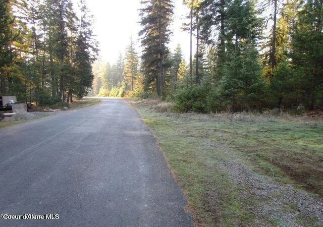 Photo 3 of Land for sale at 39 Forest Ridge Rd, Blanchard, ID 83804 | MLS# 26-3308 | Listing updated on 2026-05-08