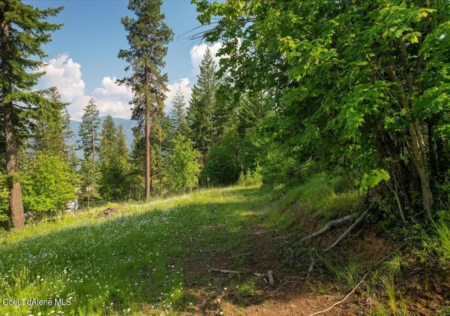 3rd image of 661 Midas Dr, Sagle, ID 83860 | MLS# 26-3330