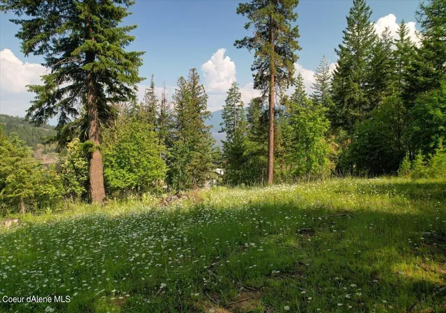 4th image of 661 Midas Dr, Sagle, ID 83860 | MLS# 26-3330