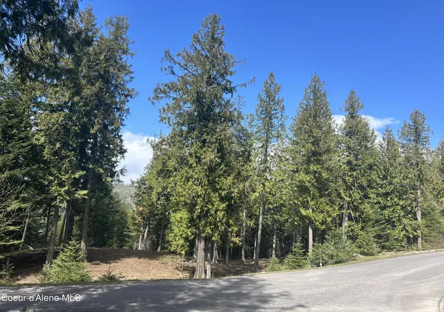2nd image of Lot 17 White Cloud Dr, Sandpoint, ID 83864 | MLS# 26-3421
