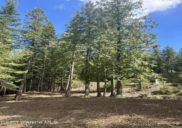 Photo 3 of Land for sale at Lot 17 White Cloud Dr, Sandpoint, ID 83864 | MLS# 26-3421 | Listing updated on 2026-05-08