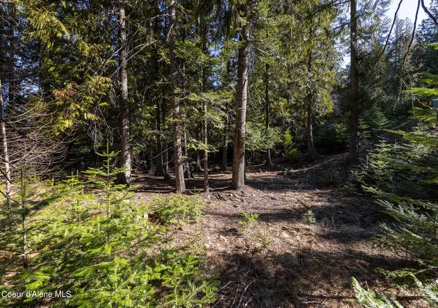Photo 3 of Land for sale at Lot 17 White Cloud Dr, Sandpoint, ID 83864 | MLS# 26-3421 | Listing updated on 2026-05-08