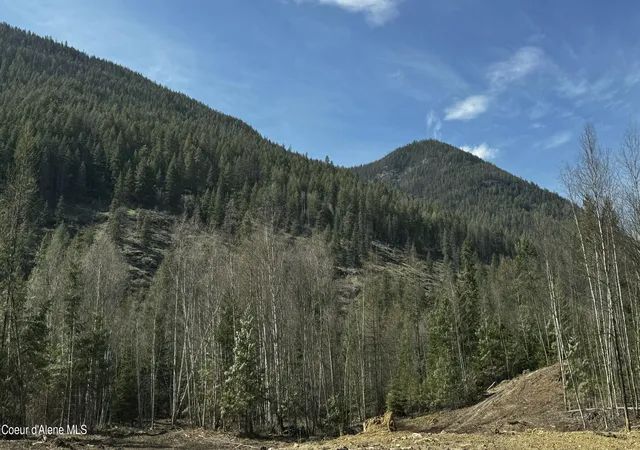 Homes for sale in Bonners Ferry, ID | Nna Westside Rd Parcel 7, Bonners Ferry, ID 83805 | MLS# 26-3432