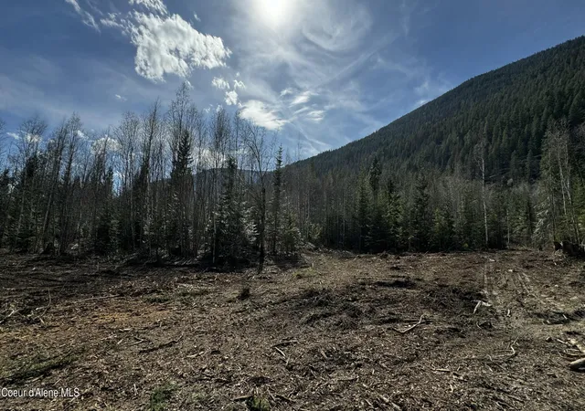 Photo 3 of Land for sale at Nna Westside Rd Parcel 7, Bonners Ferry, ID 83805 | MLS# 26-3432 | Listing updated on 2026-05-07