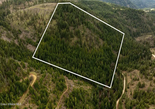 Photo 3 of Land for sale at Nka Evans Crk Rd, Medimont, ID 83842 | MLS# 26-3378 | Listing updated on 2026-09-04