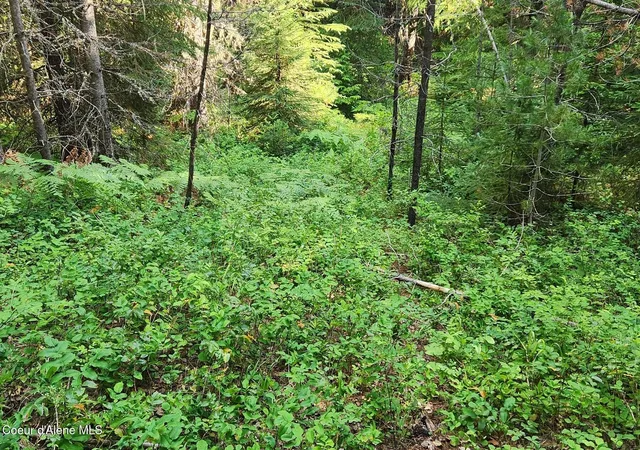 Photo 1 of Land for sale at Nna Reeder Bay Rd, Nordman, ID 83848 | MLS# 26-3427 | Listing updated on 2026-05-08