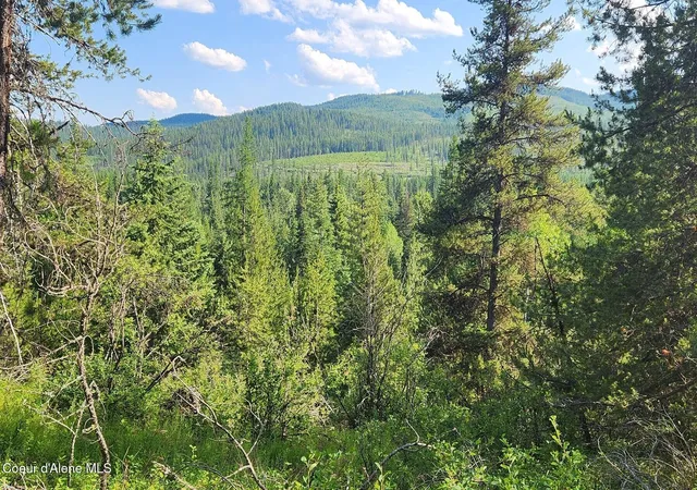 Photo 2 of Land for sale at Nna Reeder Bay Rd, Nordman, ID 83848 | MLS# 26-3427 | Listing updated on 2026-05-08