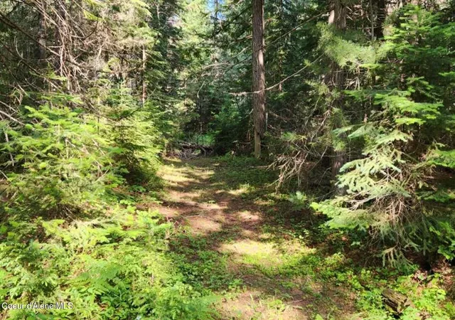 Photo 3 of Land for sale at Nna Reeder Bay Rd, Nordman, ID 83848 | MLS# 26-3427 | Listing updated on 2026-05-08
