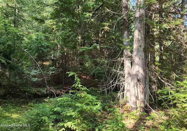 Photo 3 of Land for sale at Nna Reeder Bay Rd, Nordman, ID 83848 | MLS# 26-3427 | Listing updated on 2026-05-08