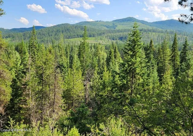 Photo 4 of Land for sale at Nna Reeder Bay Rd, Nordman, ID 83848 | MLS# 26-3427 | Listing updated on 2026-05-08
