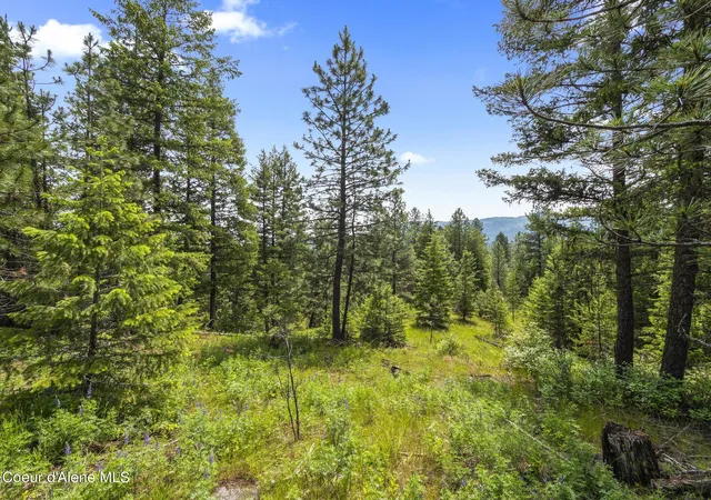 1st image of 685 Blanchard Elk Rd, Blanchard, ID 83804 | MLS# 26-3472