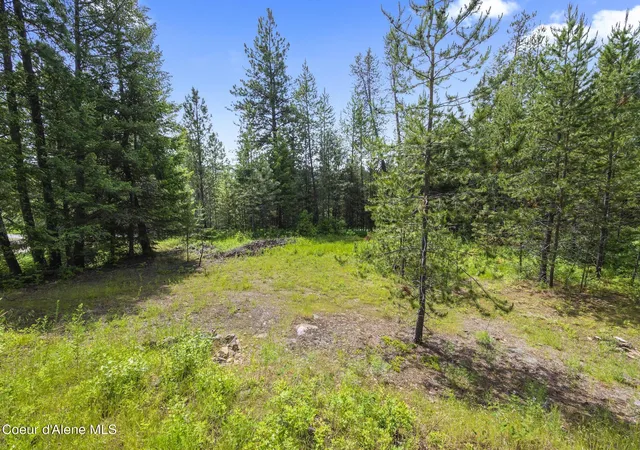 3rd image of 685 Blanchard Elk Rd, Blanchard, ID 83804 | MLS# 26-3472