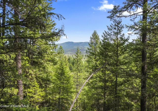 4th image of 685 Blanchard Elk Rd, Blanchard, ID 83804 | MLS# 26-3472