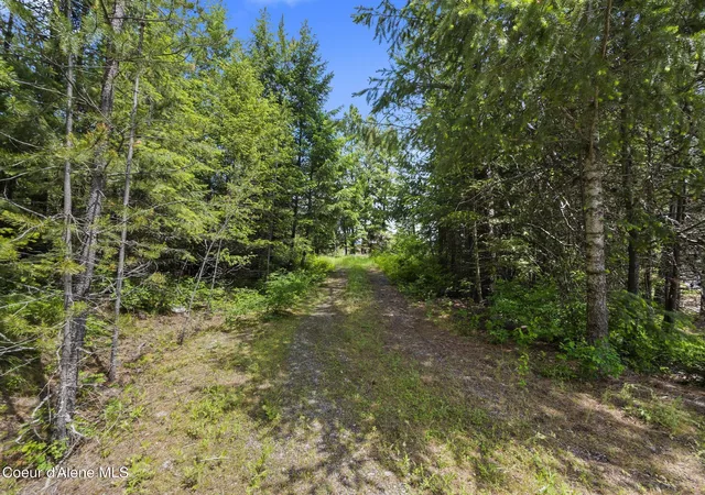 5th image of 685 Blanchard Elk Rd, Blanchard, ID 83804 | MLS# 26-3472