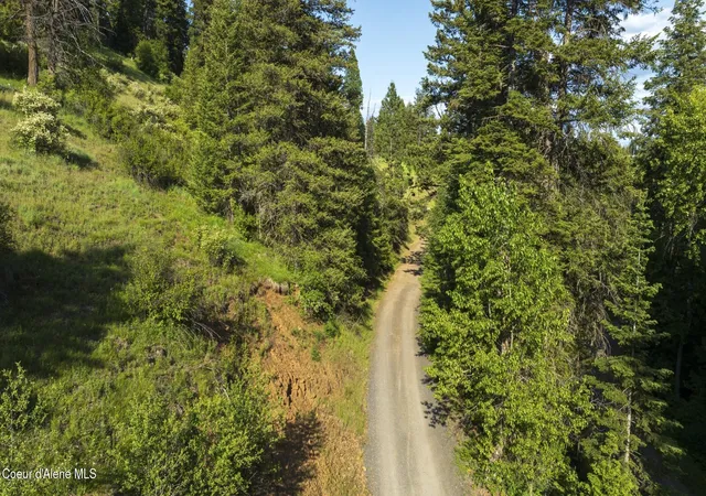 Photo 3 of Land for sale at Nna Flat Crk Rd, Saint Maries, ID 83861 | MLS# 26-3624 | Listing updated on 2026-09-23