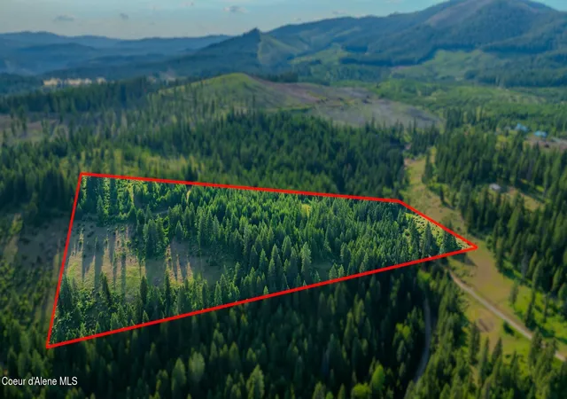 Photo 4 of Land for sale at Nna Flat Crk Rd, Saint Maries, ID 83861 | MLS# 26-3624 | Listing updated on 2026-09-23