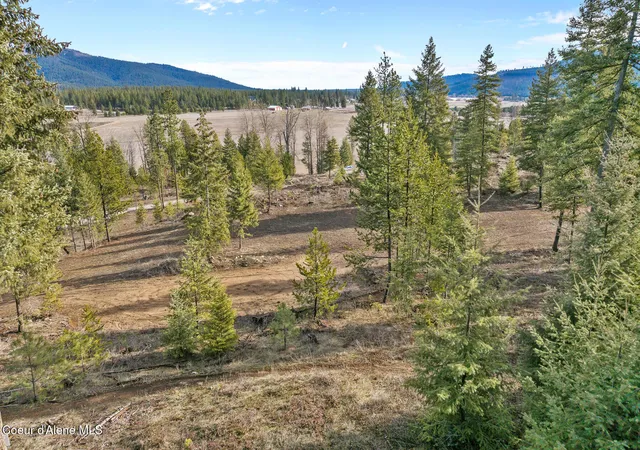 3rd image of Nka Healing Dr Lot 2 And Lot 3, Blanchard, ID 83804 | MLS# 26-3474