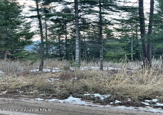 Photo 3 of Land for sale at Nka Palomino Dr 10 Acres, Coeur D'alene, ID 83814 | MLS# 26-3525 | Listing updated on 2026-05-08