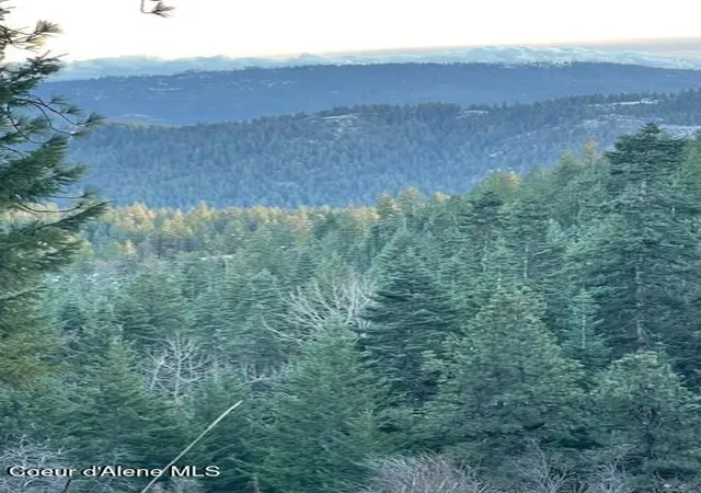 Photo 4 of Land for sale at Nka Palomino Dr 10 Acres, Coeur D'alene, ID 83814 | MLS# 26-3525 | Listing updated on 2026-05-08