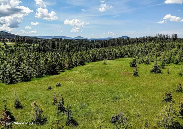 Homes for sale in Harrison, ID | Nna E Sonora Sky Parcel 6 Rd, Harrison, ID 83833 | MLS# 26-3533