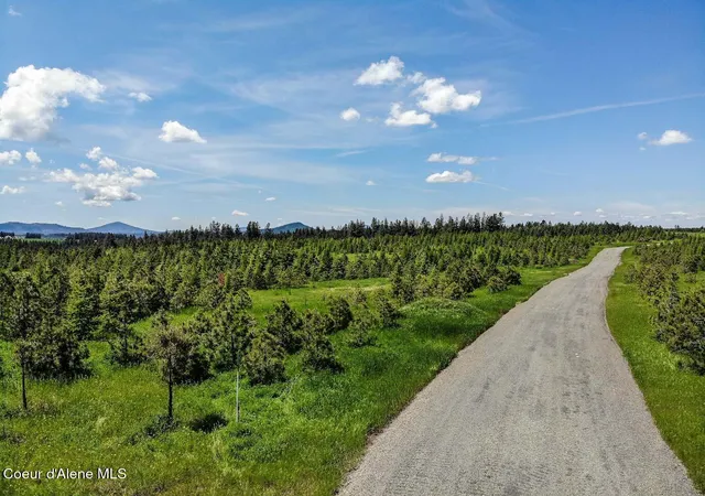 Homes for sale in Harrison, ID | Nna E Sonora Sky Parcel 6 Rd, Harrison, ID 83833 | MLS# 26-3533