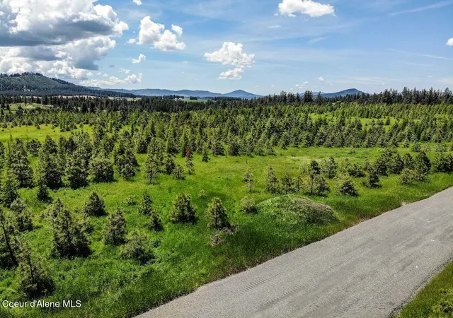 4th image of Nna E Sonora Sky Parcel 6 Rd, Harrison, ID 83833 | MLS# 26-3533
