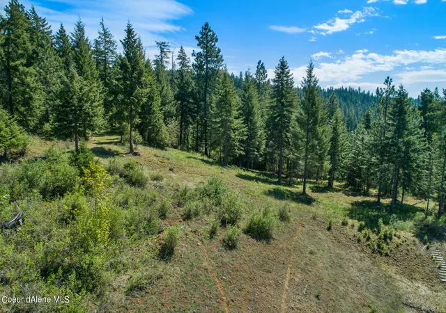 Photo 3 of Sale Pending at Lot 149 Gadwell, Harrison, ID 83833 | MLS# 26-3547 | Listing updated on 2026-08-31